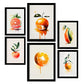 Nacnic Citrus Posters. Prints of Fruits, Vegetables and Healthy Food in Watercolour Art Style over Pure White Backgrounds. Aesthetic Illustrations for Interior Design and Decoration. A4 & A3.