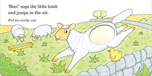 Fluffy Chick: A Touch-and-feel Book from the Creator of Dear Zoo