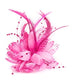 Flower Feather Fascinator Beaded Beak Hair Clip Brooch Bobble Ladies Day Ascot Races (Hot Pink) 7cm