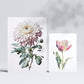 Nacnic Pink Flowers Posters. Full Colour Nature and Botany Prints with Floral Themes over Pure White Backgrounds. Aesthetic Illustrations for Interior Design and Decoration. A4 & A3.