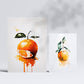 Nacnic Citrus Posters. Prints of Fruits, Vegetables and Healthy Food in Watercolour Art Style over Pure White Backgrounds. Aesthetic Illustrations for Interior Design and Decoration. A4 & A3.