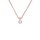 Ted Baker Sininaa Crystal Pendant Necklace For Women (Rose Gold/Crystal)