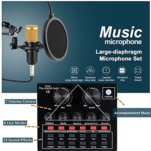 Podcast Equipment Bundle, BM-800 Recording Studio Package with Voice Changer, Live Sound Card - Audio Interface for Laptop Computer Vlog Living Broadcast Live Streaming YouTube TikTok (AM100-V8)