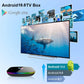 Android TV BOX, Q PLUS Android 10.0 TV BOX 2GB RAM/16GB ROM H616 Quad-Core Support 2.4Ghz WiFi 6K HD DLNA 3D Smart TV BOX