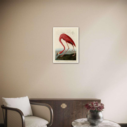 Meishe Art Poster Print Retro Vintage Birds Antique Red Flamingo Pelican Wild Animals Decorative Illustration Home Wall Decor (B)