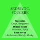 Colour Me | Volt | Body Spray | Fragrance for Men | Aromatic Fougere Scent | 5.1 oz