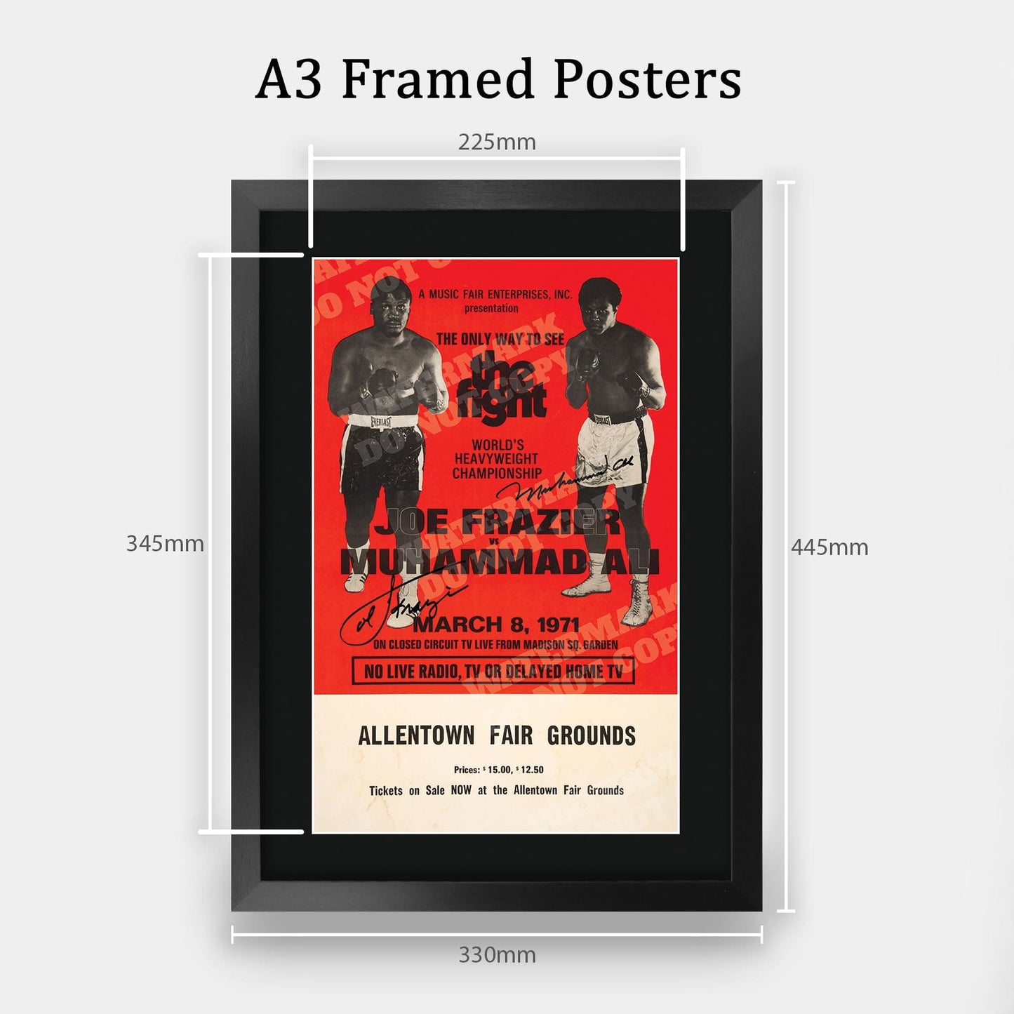 HWC Trading FR A3 Joe Frazier v Muhammad Ali 1971 Bout Gifts Printed Signed Autograph Poster for Boxer Memorabilia Fans - A3 Framed