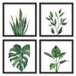 ArtbyHannah Framed Wall Art Decor with Botanical Prints 25x25cm Green Tropical Snake Plant Fern Artwork Poster 10x10 inch, Square Pictures Set of 4, Wall Decoration for Living Room Bathroom Bedroom