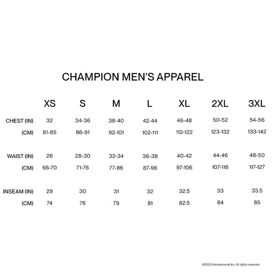 Champion, Classic, Comfortable Crewneck Men's T-Shirt, Graphic Tee, Natural Rec Intramural