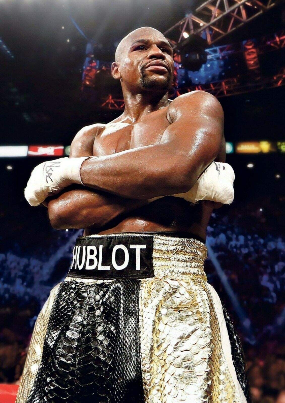 Floyd Mayweather Photo Picture Print Poster Boxing Wall Art A4