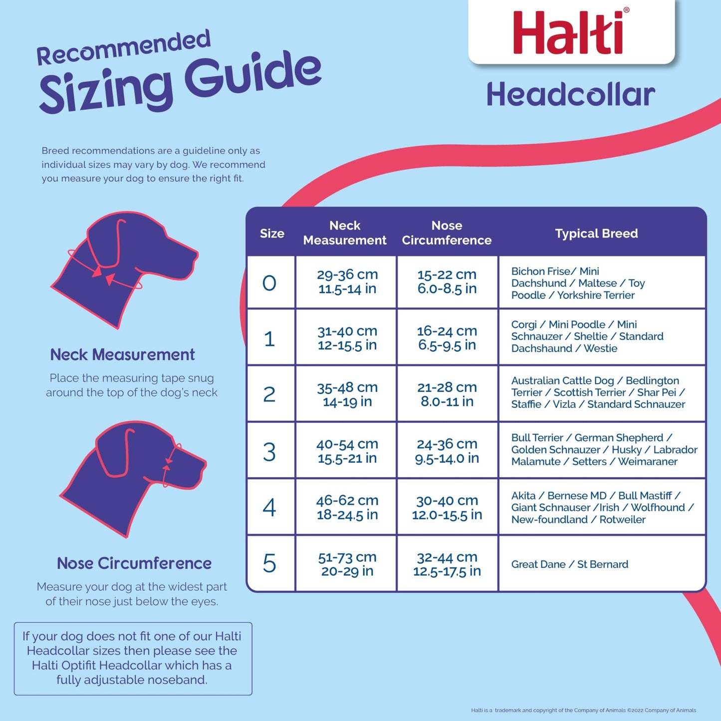 HALTI Headcollar Size 3 Black, UK Bestselling Harness to Stop Pulling on the Lead, Easy to Use, Padded Nose Band, Adjustable & Reflective, Professional Anti-Pull Training Aid for Medium Dogs