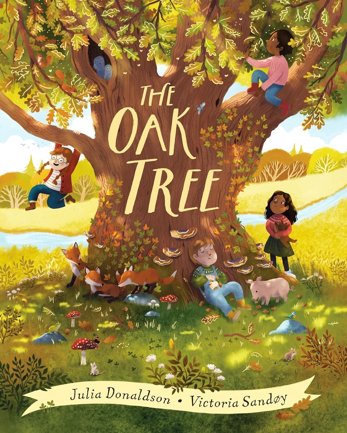 The Oak Tree: a dazzling picture book, by Julia Donaldson, author of Zog and Stick Man