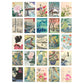 Artery8 50 Pcs Japanese Aesthetic Collage Kit Ukiyo-e Woodblock Wall Art Prints A6 Set Pack 14.8 x 10.5 cm (5.8 x 4.1) Room Decor Poster Collection