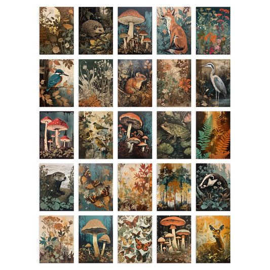 Artery8 50 Pcs Earthy Wild Nature Rustic Aesthetic Collage Kit Wall Art Prints A6 Set Pack 14.8 x 10.5 cm (5.8 x 4.1) Fungi Flowers Trees Botanical Room Decor Poster