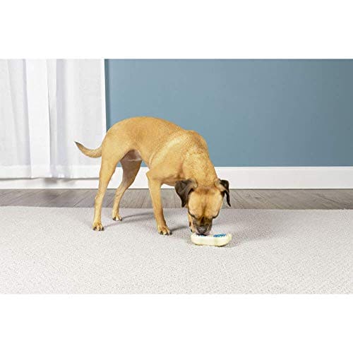 PetSafe Busy Buddy Forever Bone Dog Chew Toy, Treat Holding Dog Toy for Strong Chewers, Hard Wearing, for small Dogs, Small