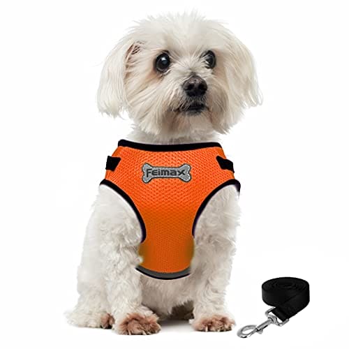 FEimaX Dog Harness and Lead Set, No Pull Adjustable Pet Mesh Harnesses with Nylon Leash and Reflective Strips, Escape Proof Cat Walking Vest Fit for Small Medium Dogs Cats