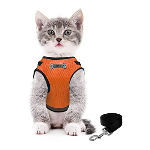 FEimaX Dog Harness and Lead Set, No Pull Adjustable Pet Mesh Harnesses with Nylon Leash and Reflective Strips, Escape Proof Cat Walking Vest Fit for Small Medium Dogs Cats