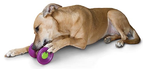 PetSafe Busy Buddy Ultra Woofer S Durable Dog Chew Toy, Dog Toy with Treat, Small Dogs