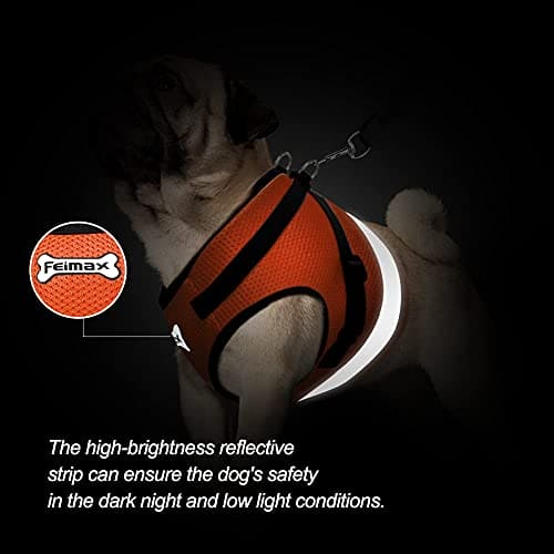 FEimaX Dog Harness and Lead Set, No Pull Adjustable Pet Mesh Harnesses with Nylon Leash and Reflective Strips, Escape Proof Cat Walking Vest Fit for Small Medium Dogs Cats