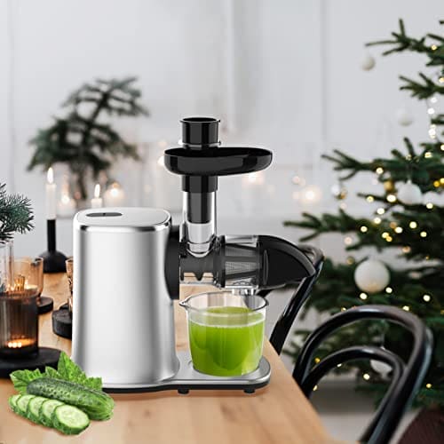 Slow Juicer Masticating Machine, Juicers for Vegetables and Fruit, Cold Press with Dual-Stage Quiet Motor & Reverse Function, Free Cup Cleaning Brush, Multicolor