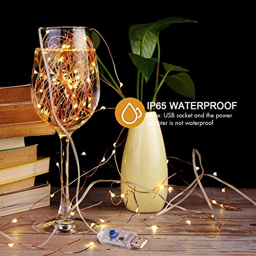 [2 Pack] Fairy String Lights, 120LED 12M/40Ft 8 Modes USB Plug in Powered Lights Waterproof Outdoor/Indoor Copper String Lights with Remote Timer for Bedroom, Party, Christmas (Warm White)