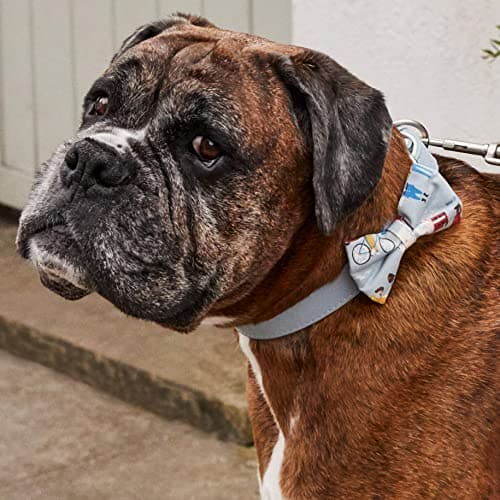 Pet Brands Cath Kidston Dog Bow Tie Collar, Adjust Leather Dog Collar with Cotton Bow Tie - 26-32cm, Multi