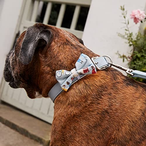 Pet Brands Cath Kidston Dog Bow Tie Collar, Adjust Leather Dog Collar with Cotton Bow Tie - 26-32cm, Multi