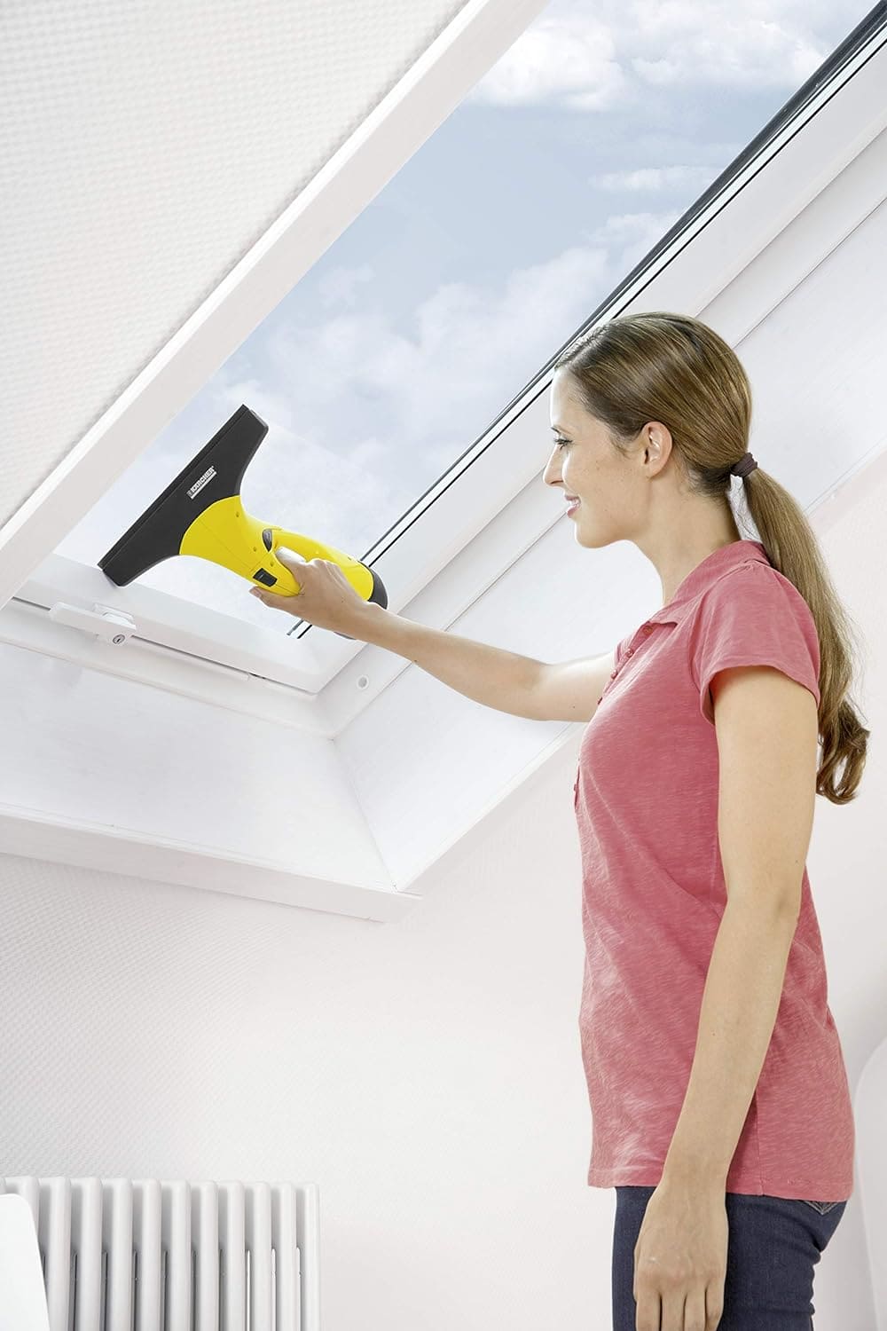 Kärcher WV 2 Plus Window Vac